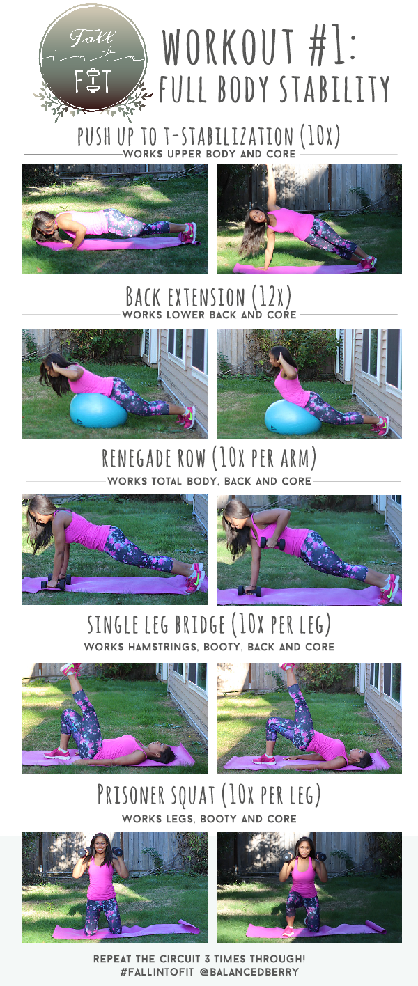 Full body stability workout. Work every major muscle group and build core strength!