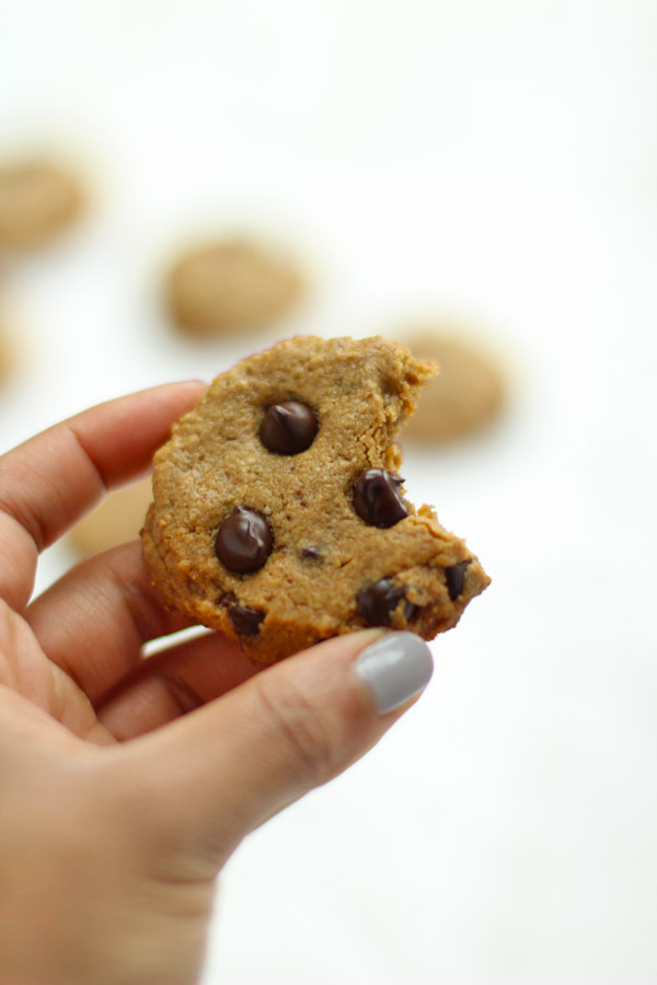 5 Ingredient Chocolate Chip Cookies - flourless, grain-free, gluten free and the perfect addition to your holiday baking!