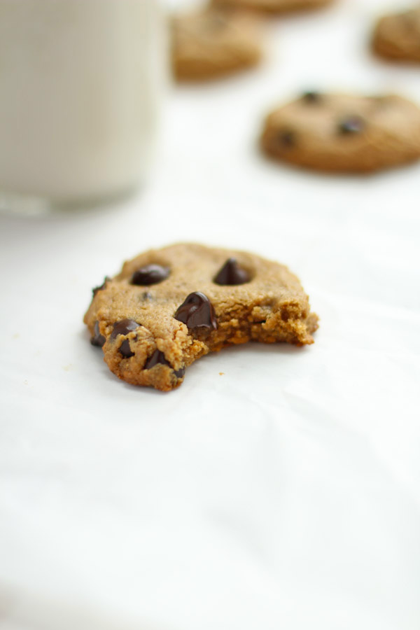 5 Ingredient Chocolate Chip Cookies - flourless, grain-free, gluten free and the perfect addition to your holiday baking!