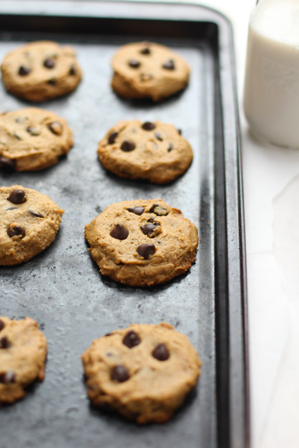 5 Ingredient Chocolate Chip Cookies - flourless, grain-free, gluten free and the perfect addition to your holiday baking!