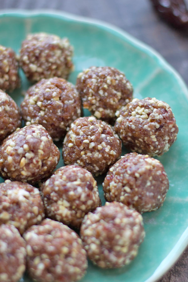 Cranberry Bliss Protein Bites