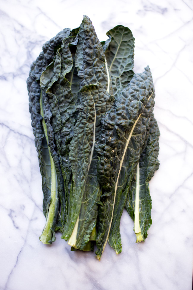 This kale pesto is completely vegan and comes together in just a few minutes in the food processor. 
