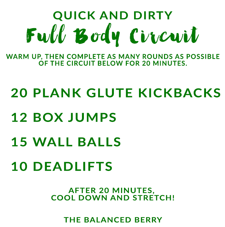 Quick and Dirty full body circuit. Work your entire body in just 20 minutes!
